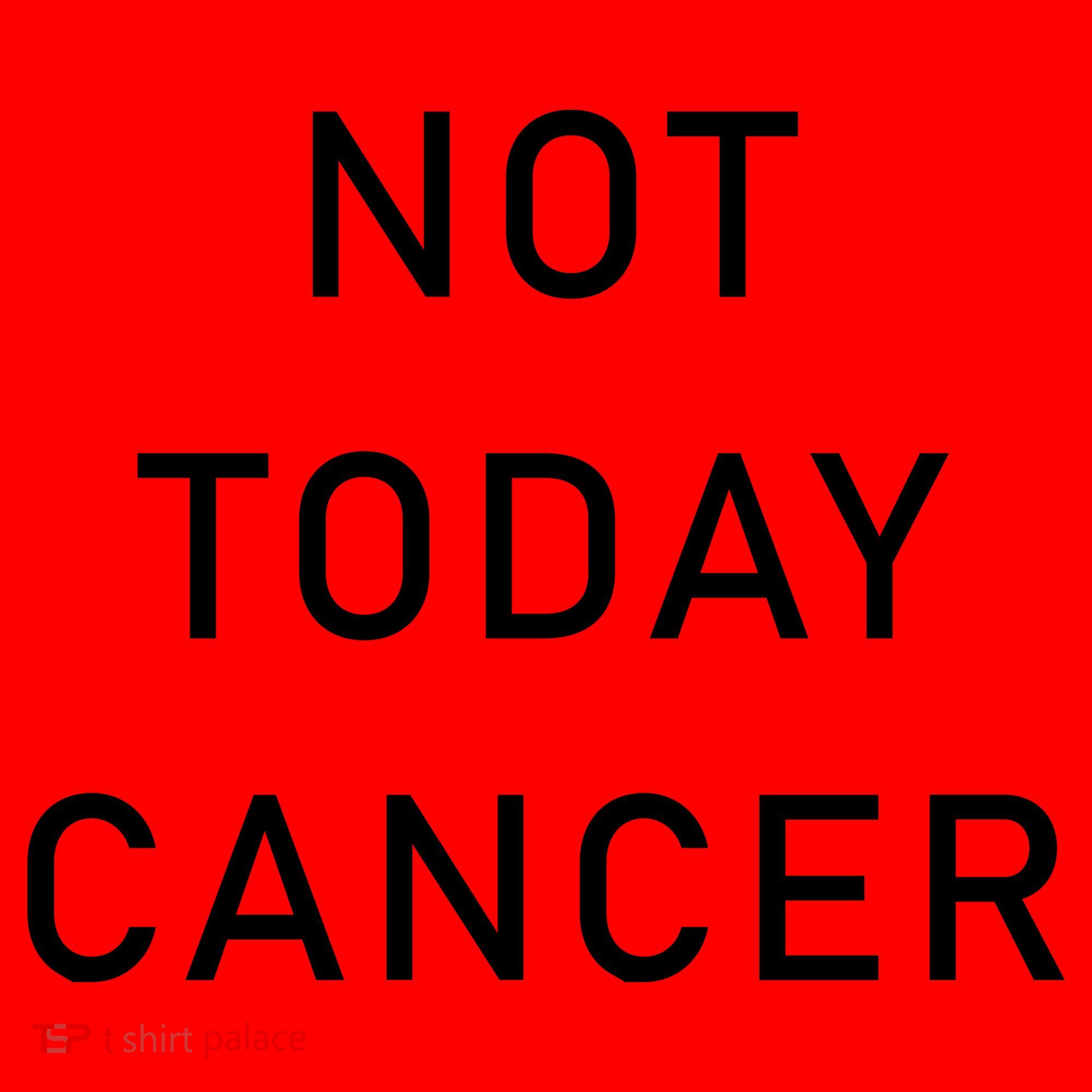 Not Today Cancer Santa Hat