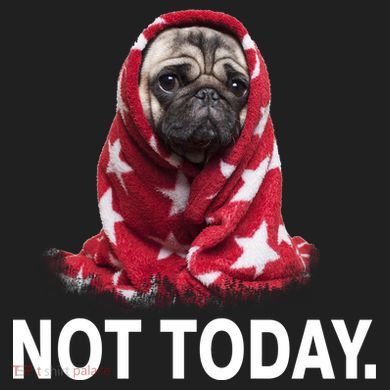 Not Today Funny Pug 11oz C Handle Ceramic Mug