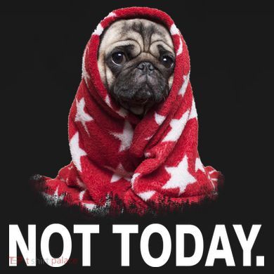 Not Today Funny Pug Dry Zone Grid Polo