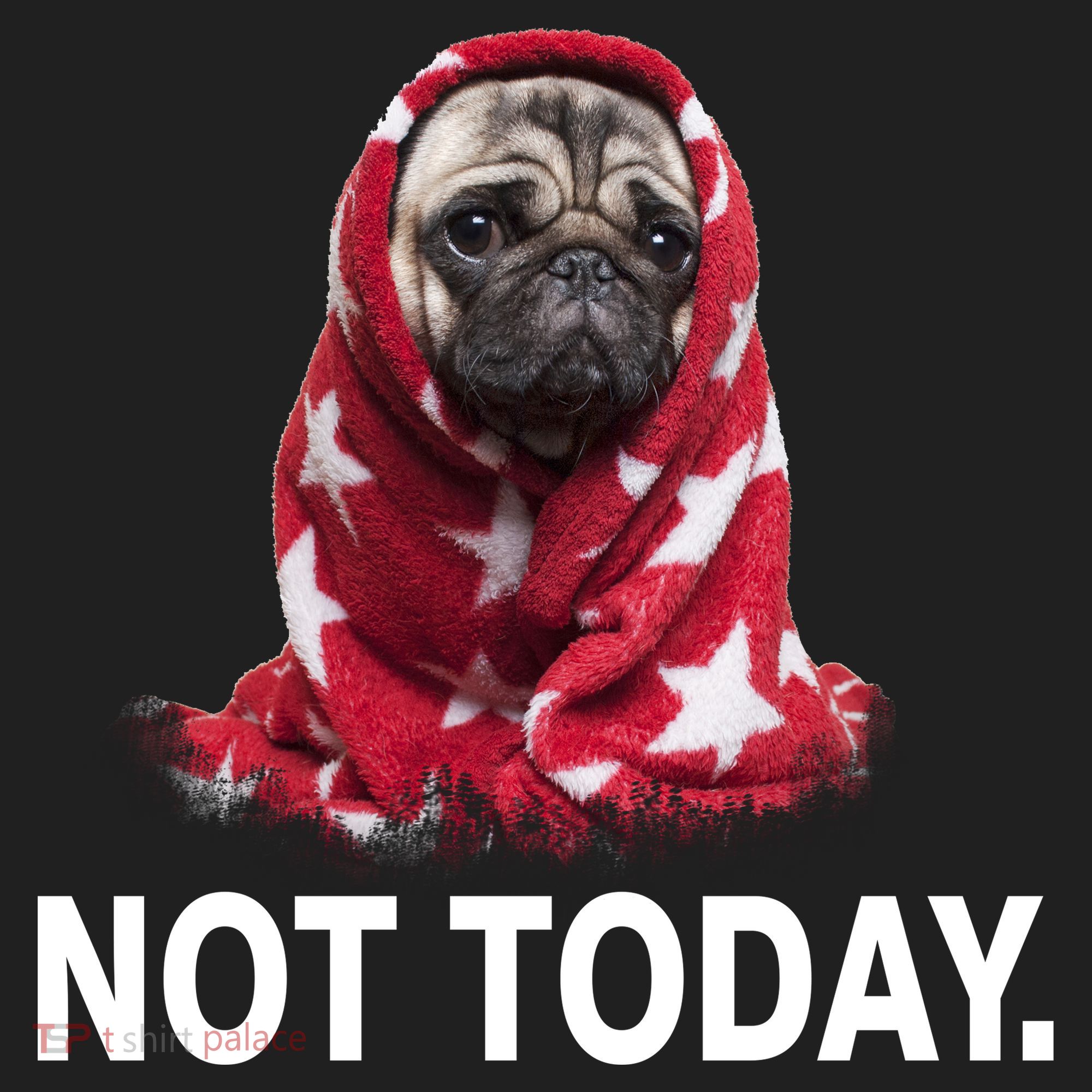Not Today Funny Pug Tumbler