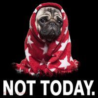 Not Today Funny Pug Ornament thumb 1