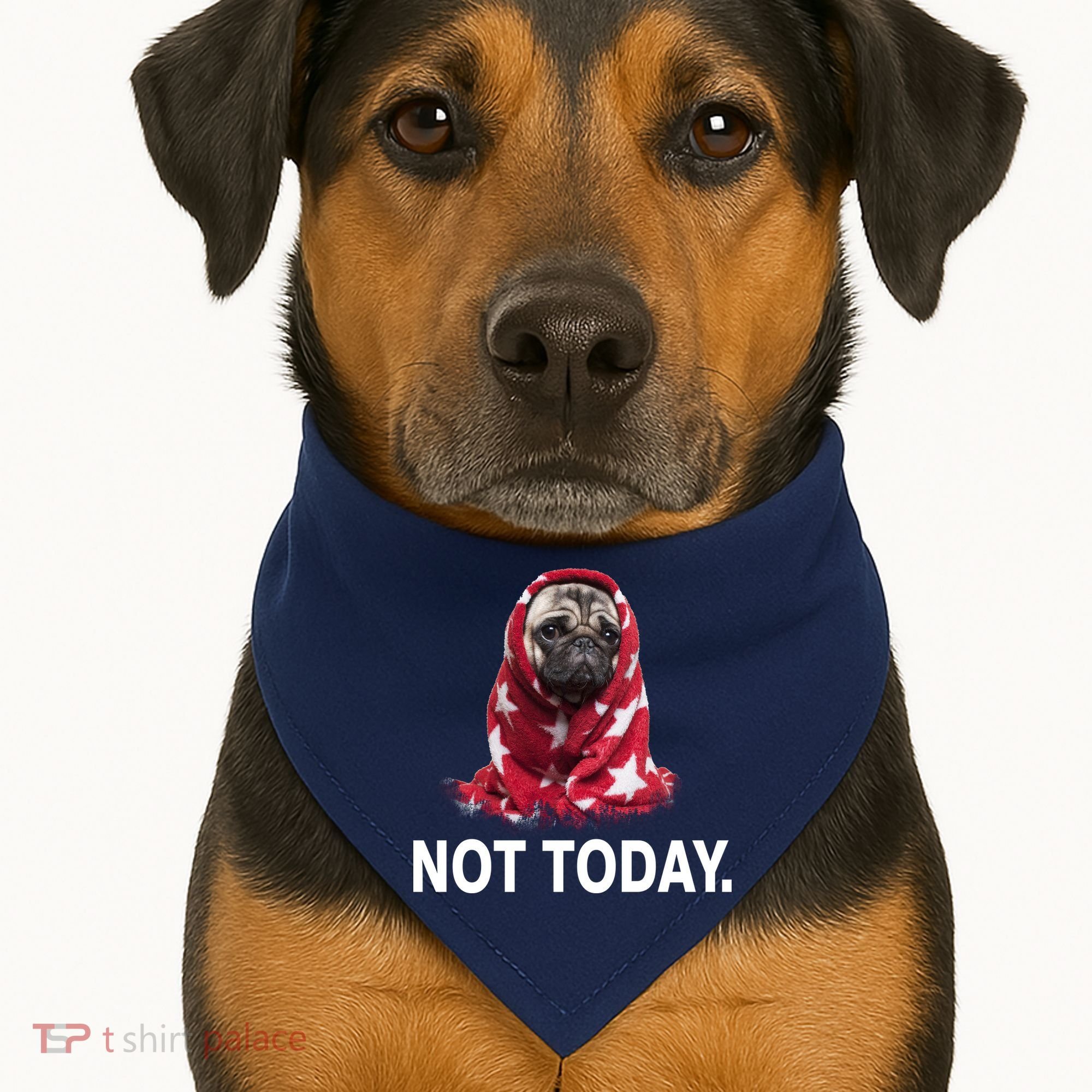Not Today Funny Pug USA-Made Doggie Bandana