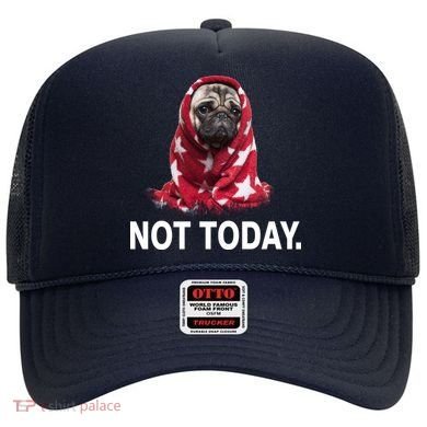 Not Today Funny Pug Hat