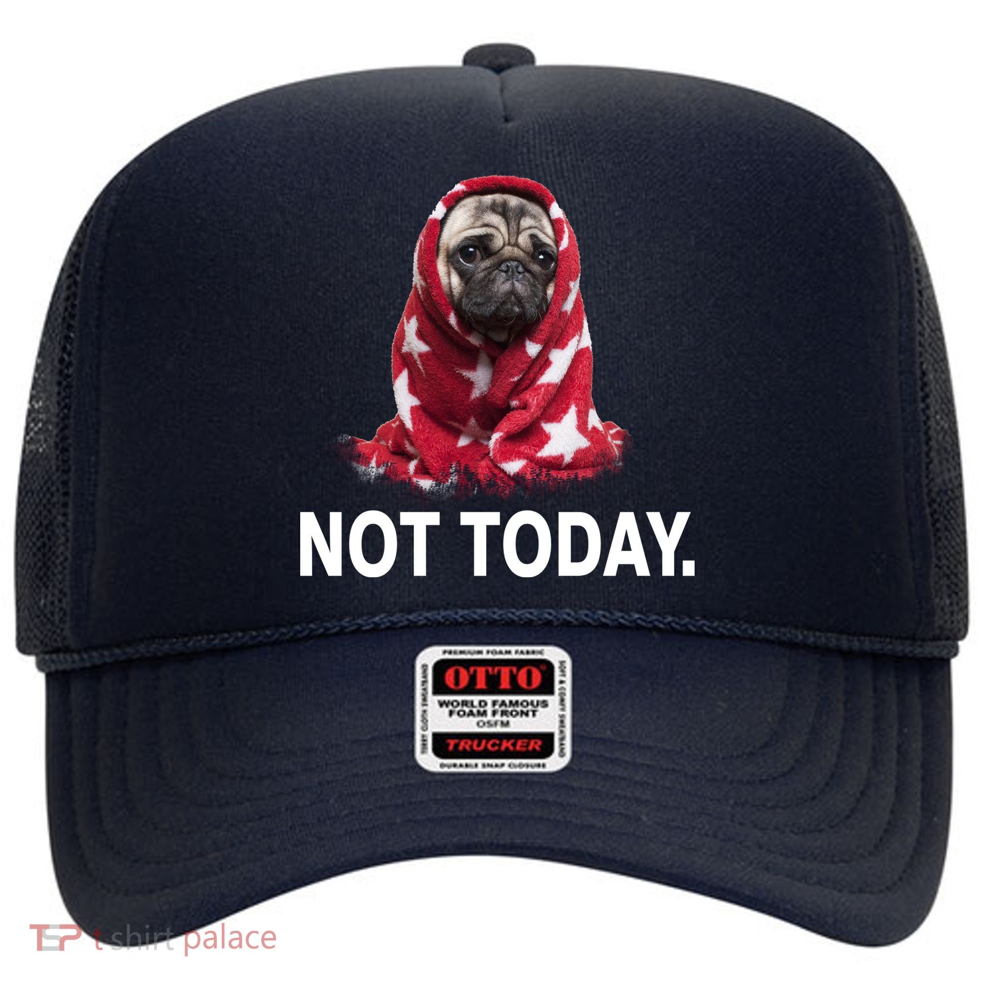 Not Today Funny Pug Hat