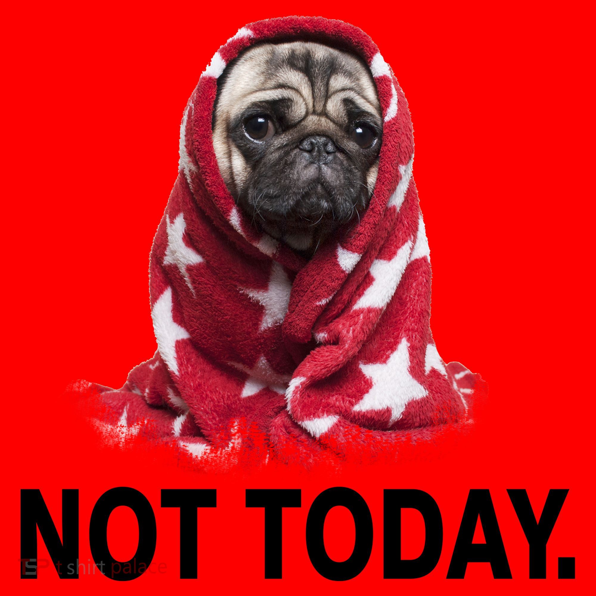 Not Today Funny Pug Santa Hat