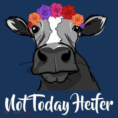 Not Today Heifer Women's Sweatshirt