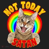 Not Today Satan Funny Cat Rainbow Tumbler thumb 3