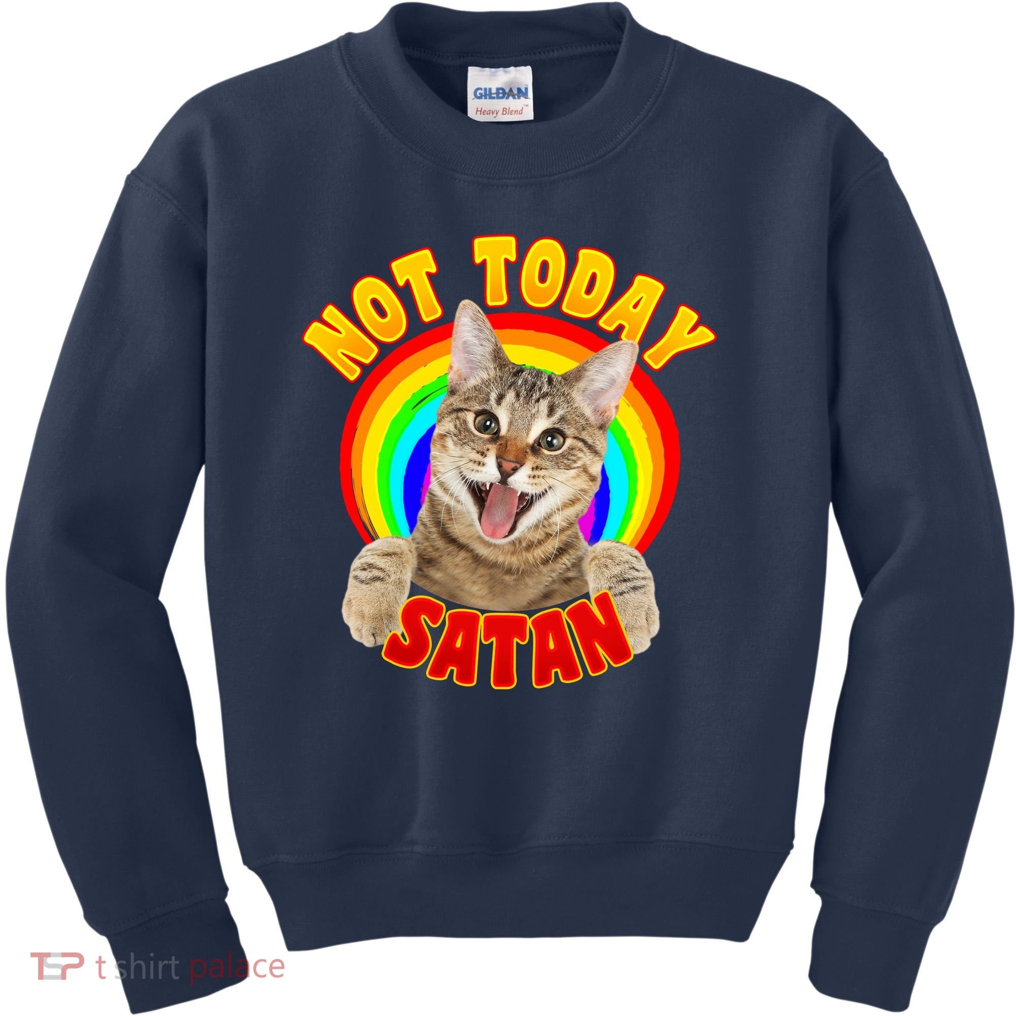 Not Today Satan Funny Cat Rainbow Kids Sweatshirt
