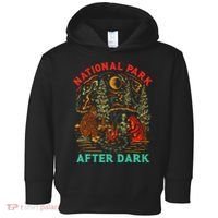 National Park After Dark Funny Toddler Hoodie thumb 0