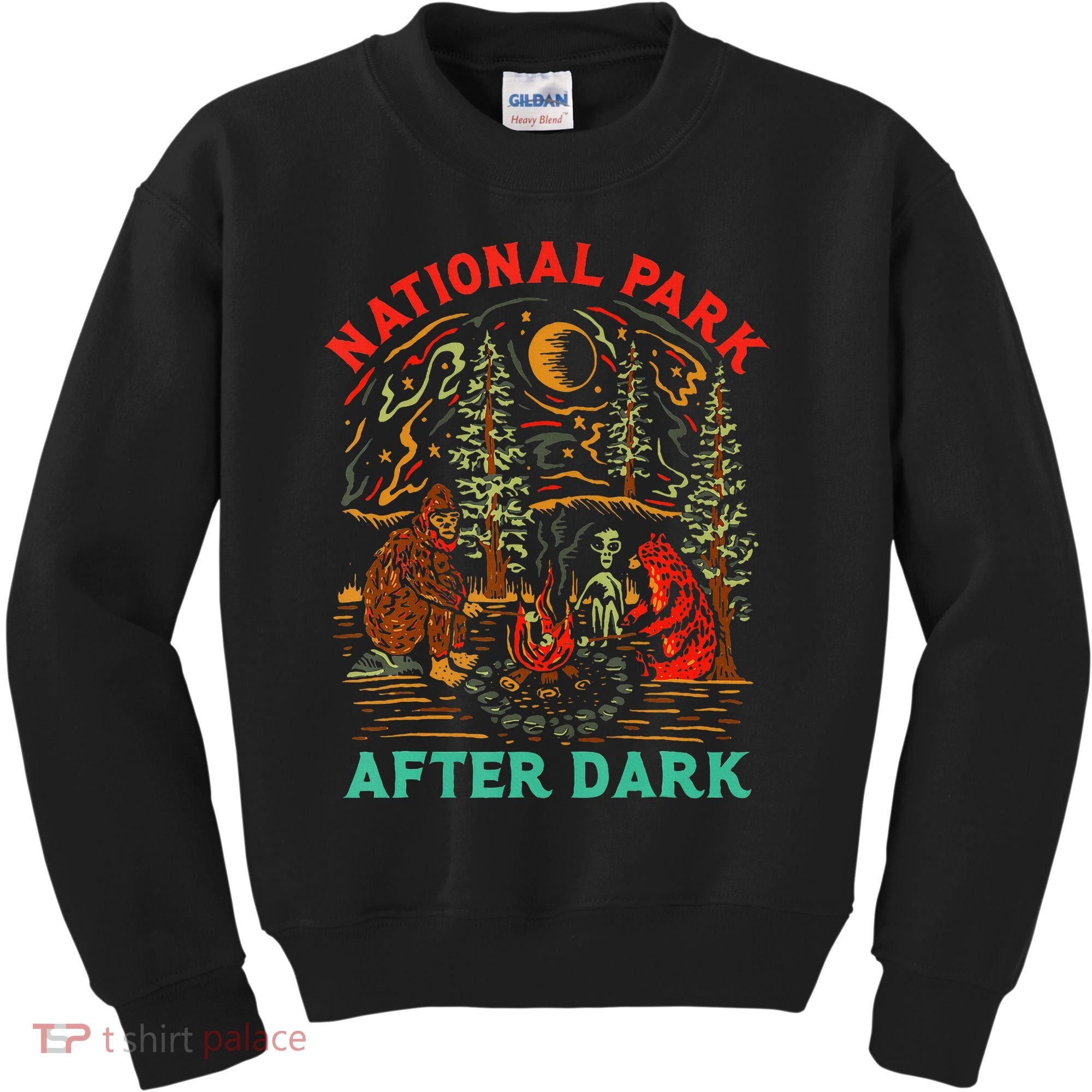 National Park After Dark Funny Kids Sweatshirt