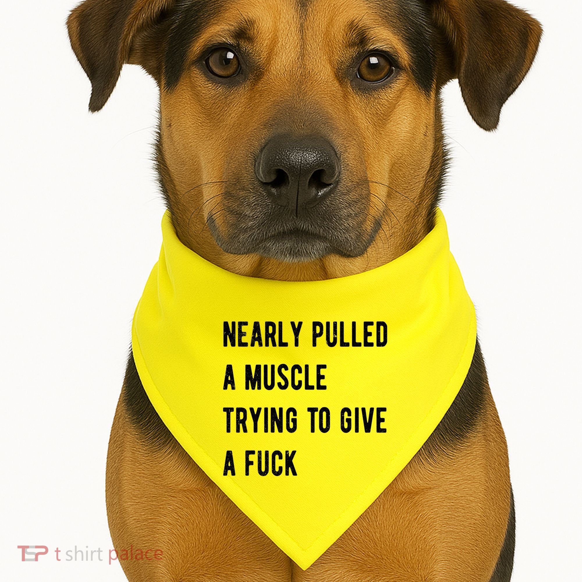 Nearly Pulled A Muscle Trying To Give A F USA-Made Doggie Bandana