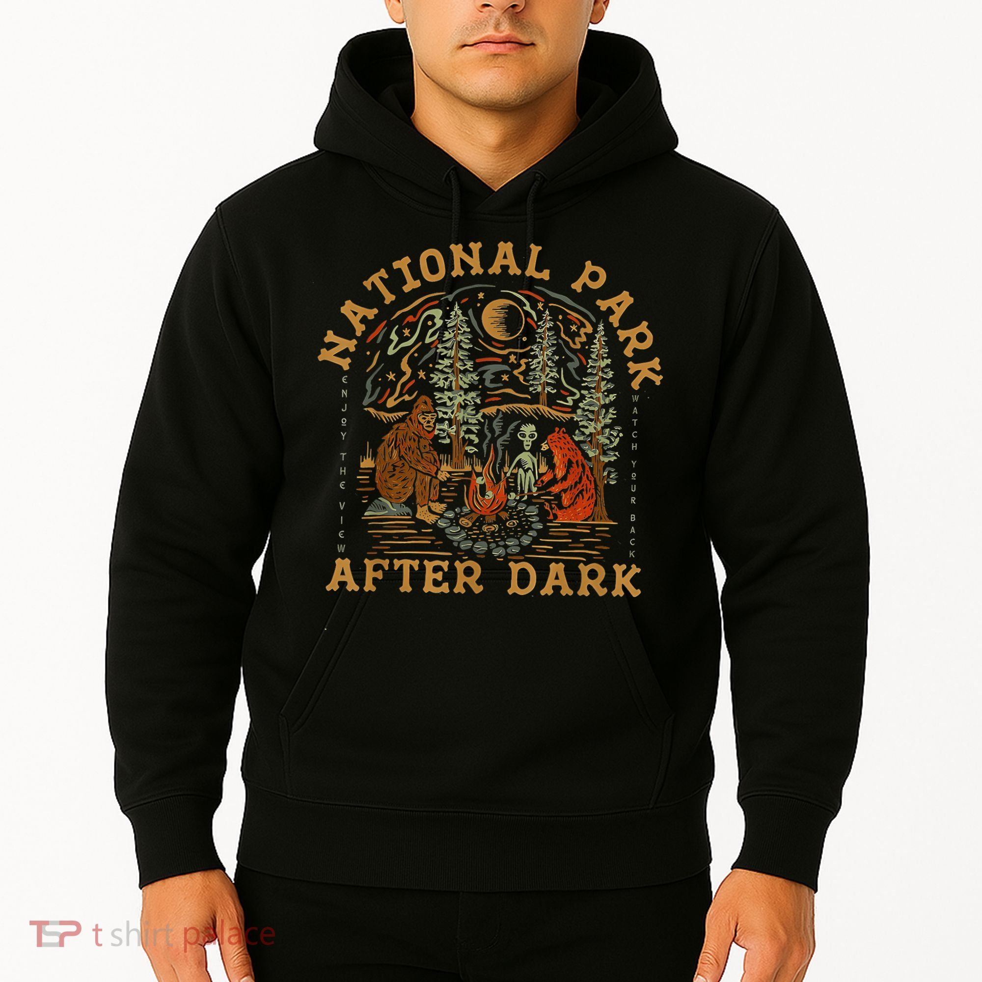 National Park After Dark Hoodie