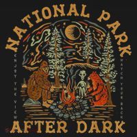 National Park After Dark T-Shirt thumb 7