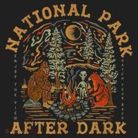 National Park After Dark Beanie thumb 2