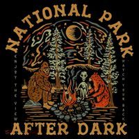 National Park After Dark Women's Hoodie thumb 2