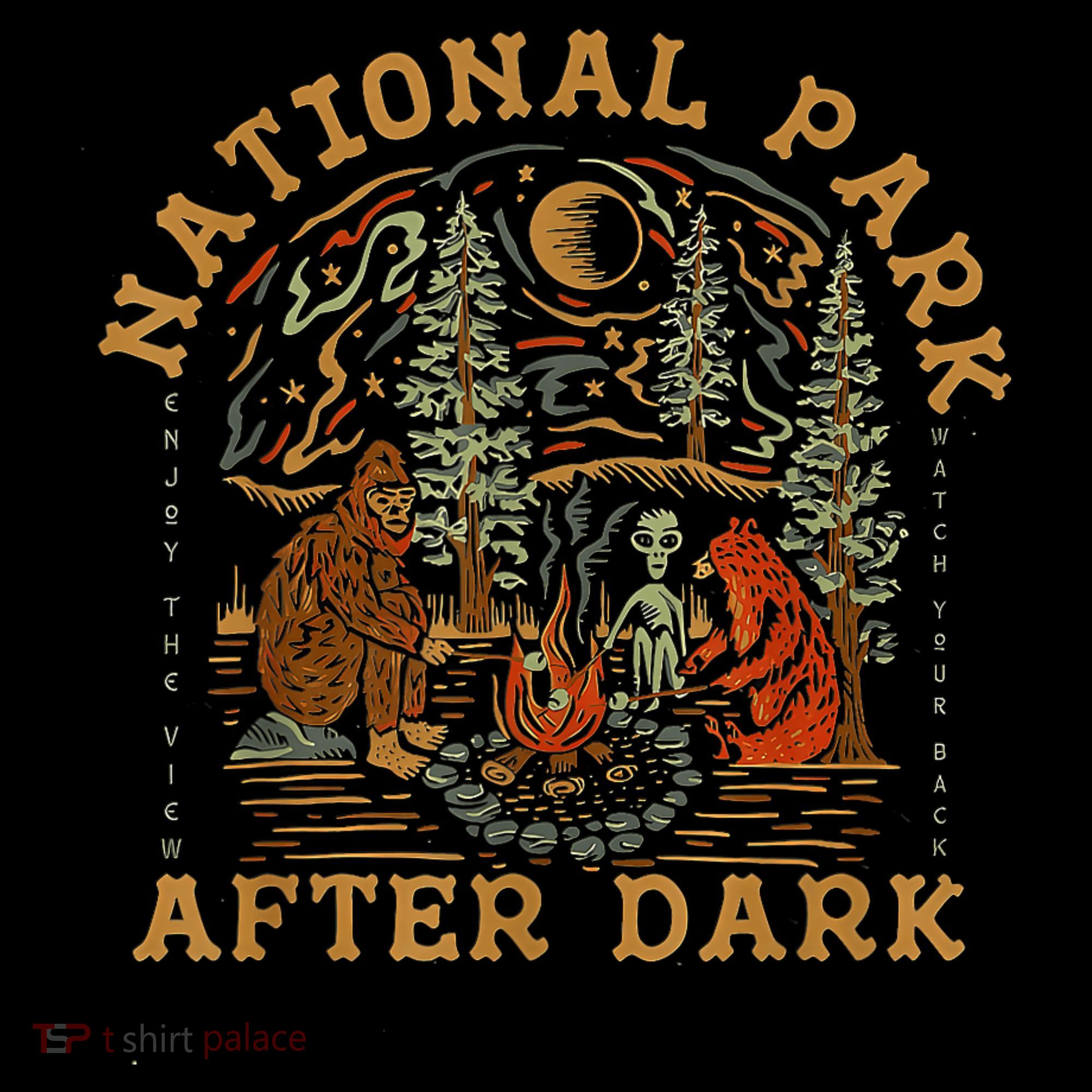 National Park After Dark Women's Hoodie