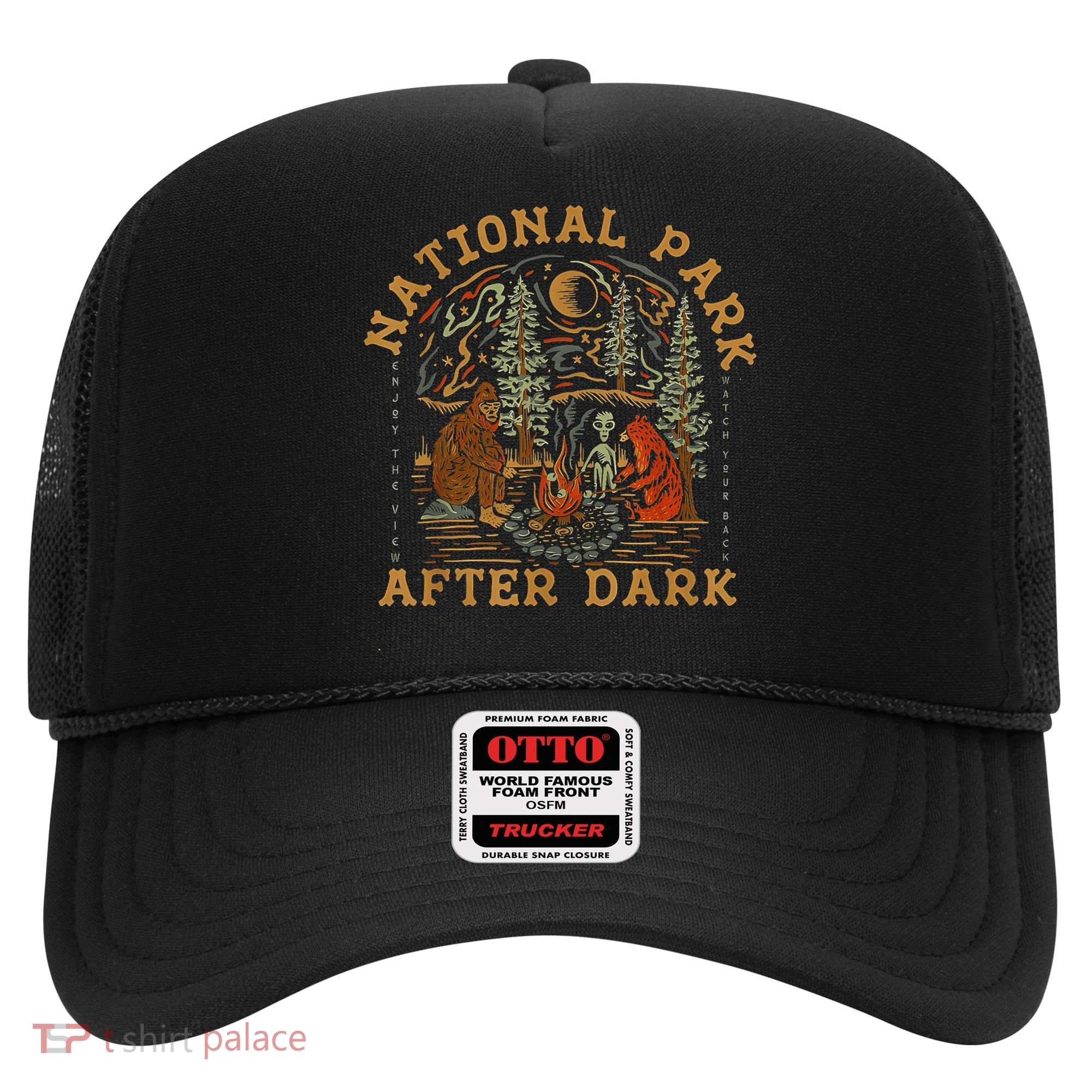 National Park After Dark Hat