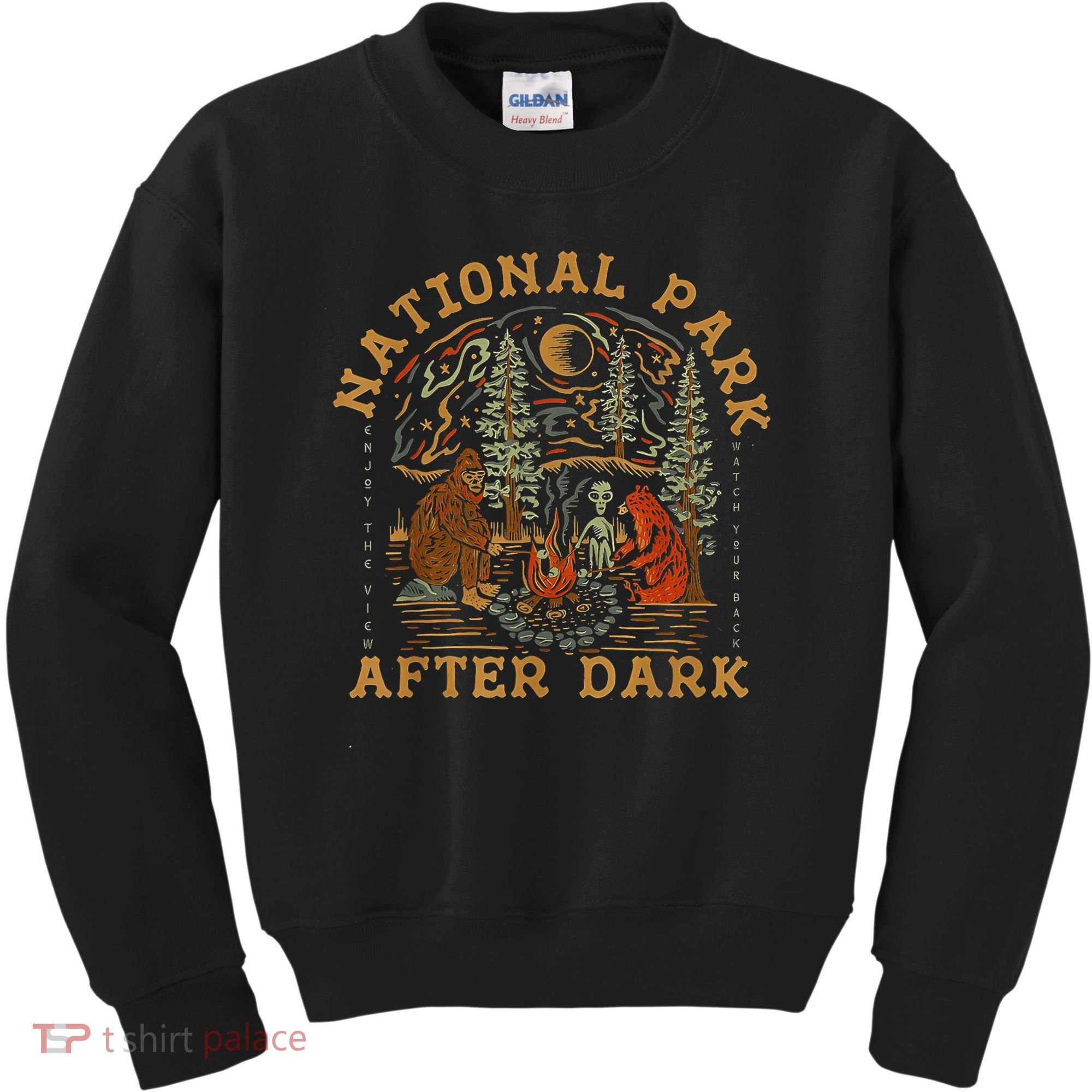 National Park After Dark Kids Sweatshirt