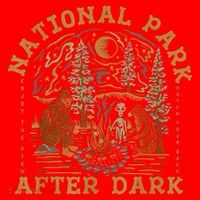 National Park After Dark Santa Hat thumb 1