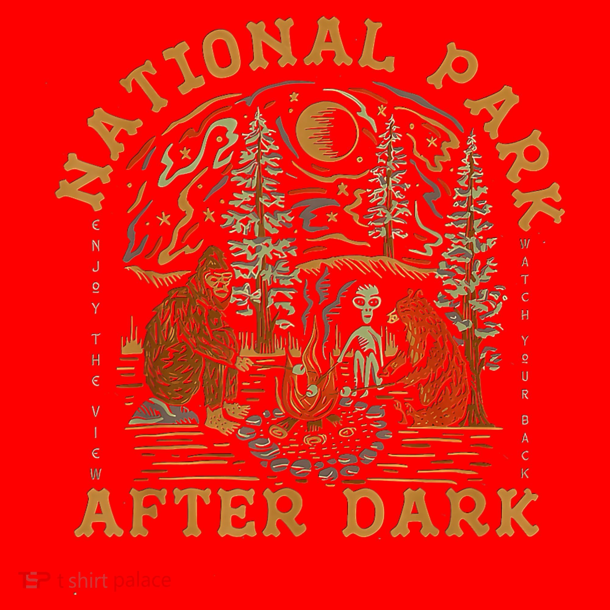 National Park After Dark Santa Hat