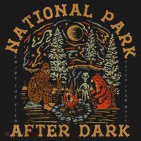 National Park After Dark Mousepad thumb 1