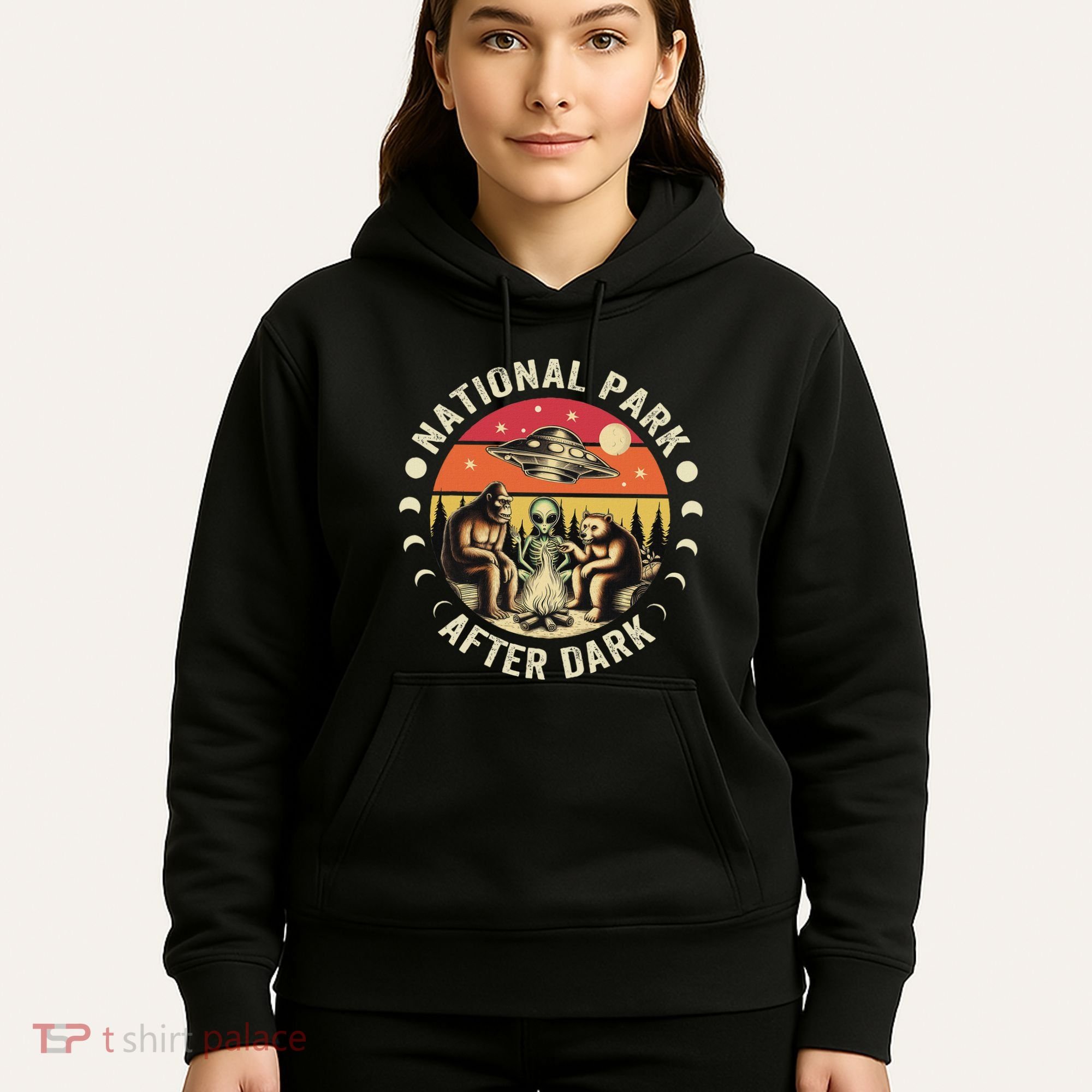 National Park After Dark Funny Hoodie