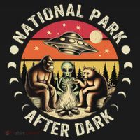 National Park After Dark Funny Women's Hoodie thumb 2