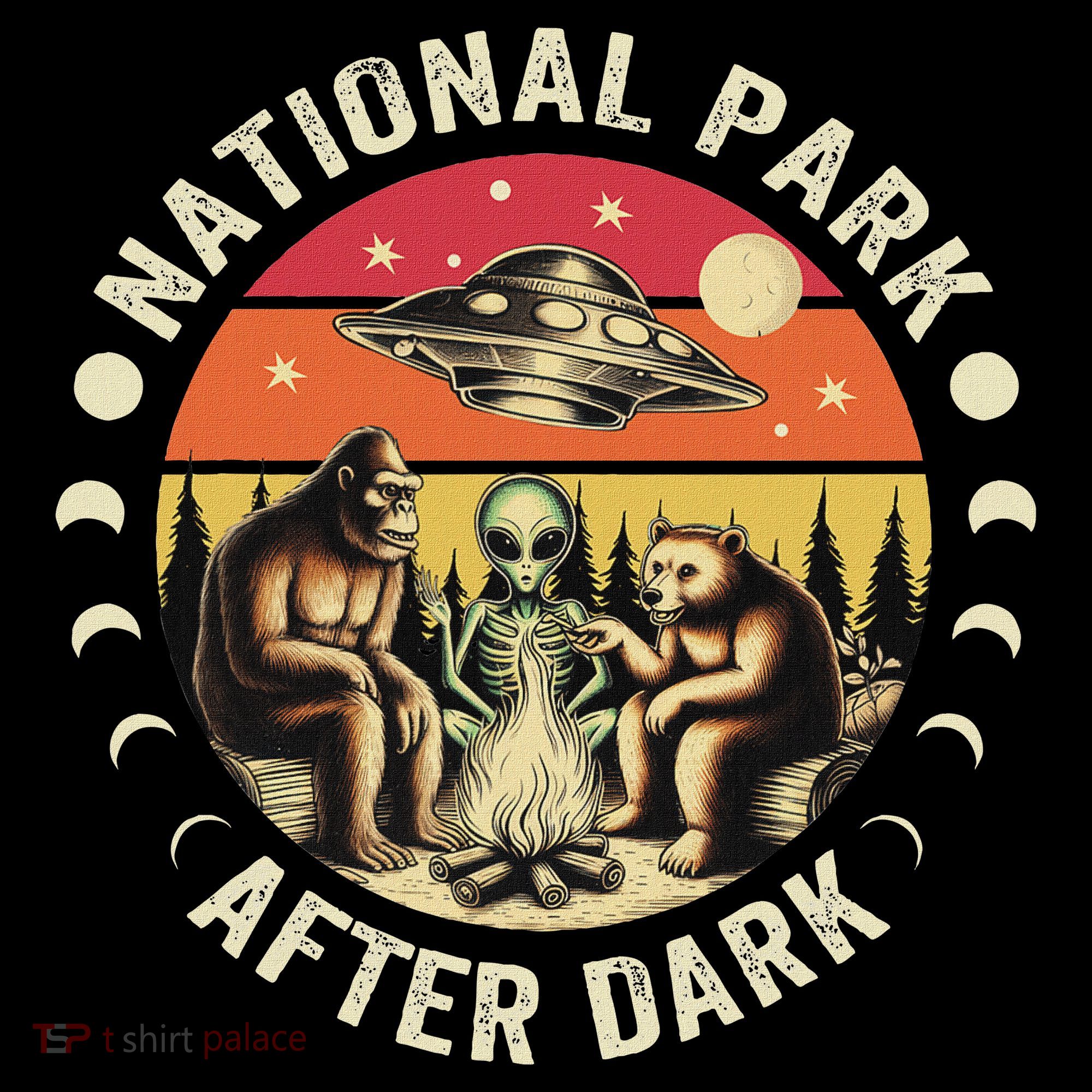 National Park After Dark Funny Women's Hoodie