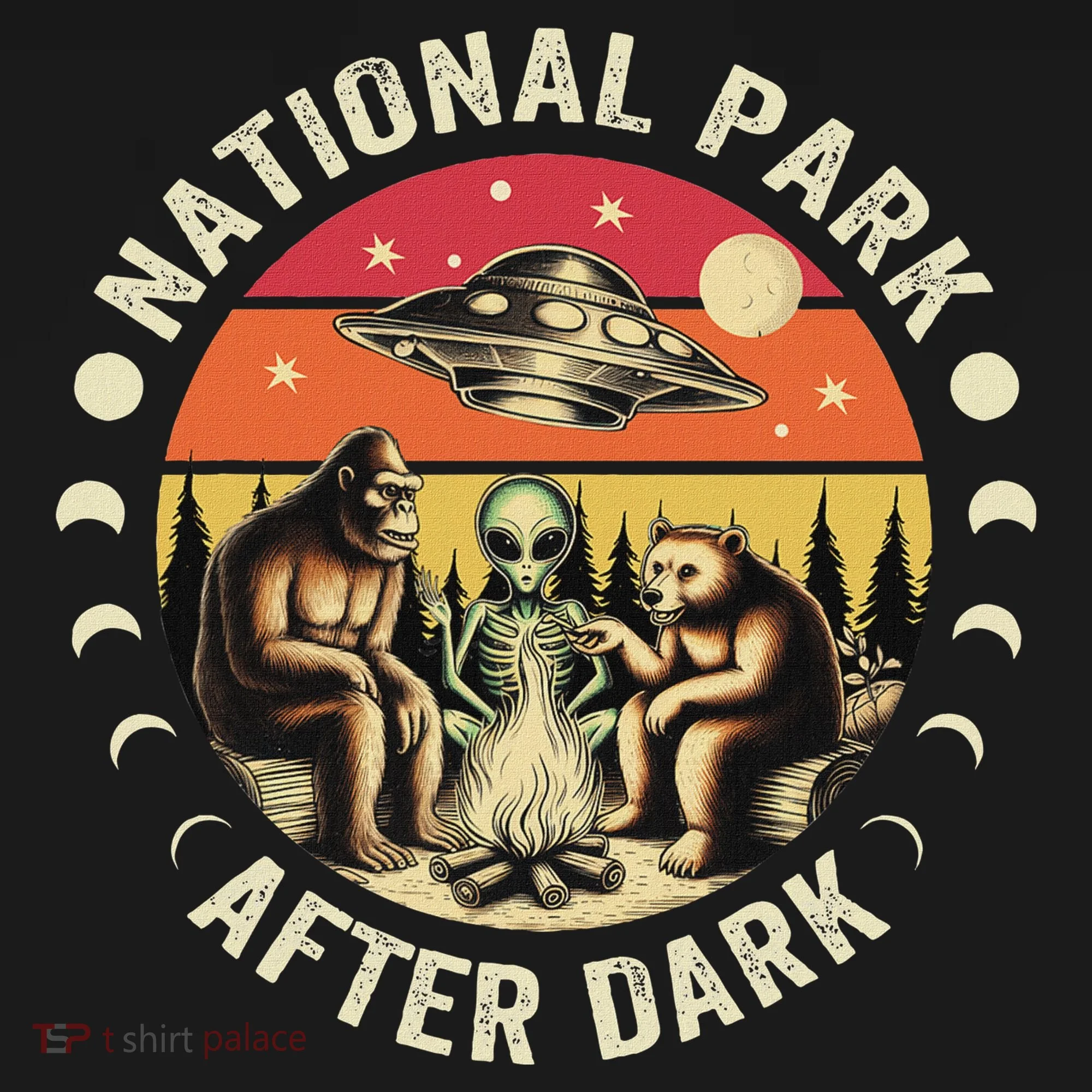National Park After Dark Funny Ornament