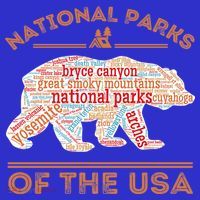 National Parks Bear Hiking Travel Camping Outdoors Retro USA  Toddler T-Shirt thumb 4