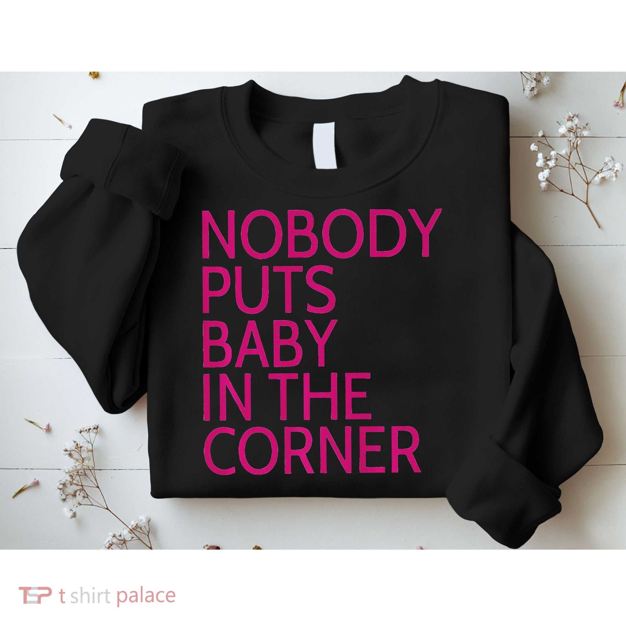 Nobody Puts Baby In The Corner Sweatshirt