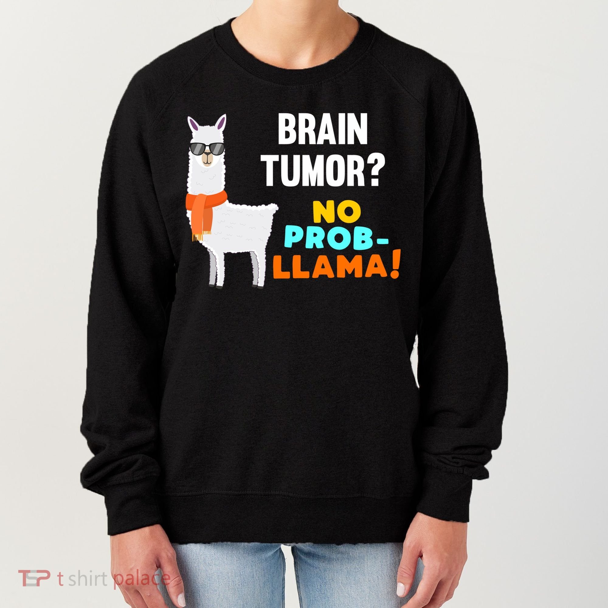No Probgiftllama Brain Tumor Survivor Recovery Get Well Funny Gift Cool Gift Women's Sweatshirt