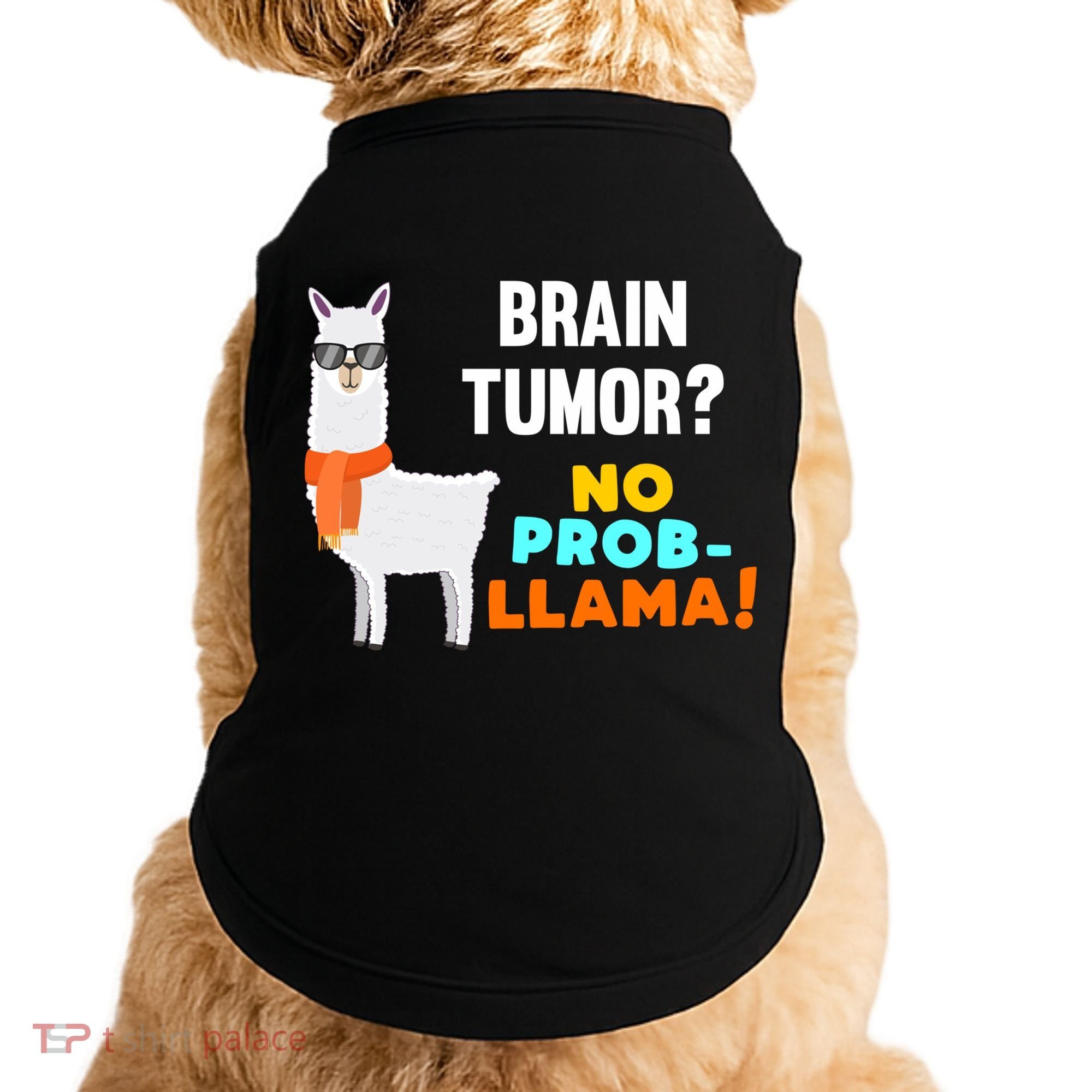 No Probgiftllama Brain Tumor Survivor Recovery Get Well Funny Gift Cool Gift Doggie Tank