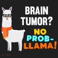 No Probgiftllama Brain Tumor Survivor Recovery Get Well Funny Gift Cool Gift Beanie thumb 2