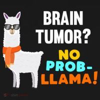 No Probgiftllama Brain Tumor Survivor Recovery Get Well Funny Gift Cool Gift Ornament thumb 1