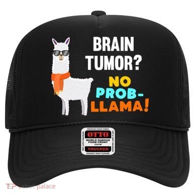 No Probgiftllama Brain Tumor Survivor Recovery Get Well Funny Gift Cool Gift Hat