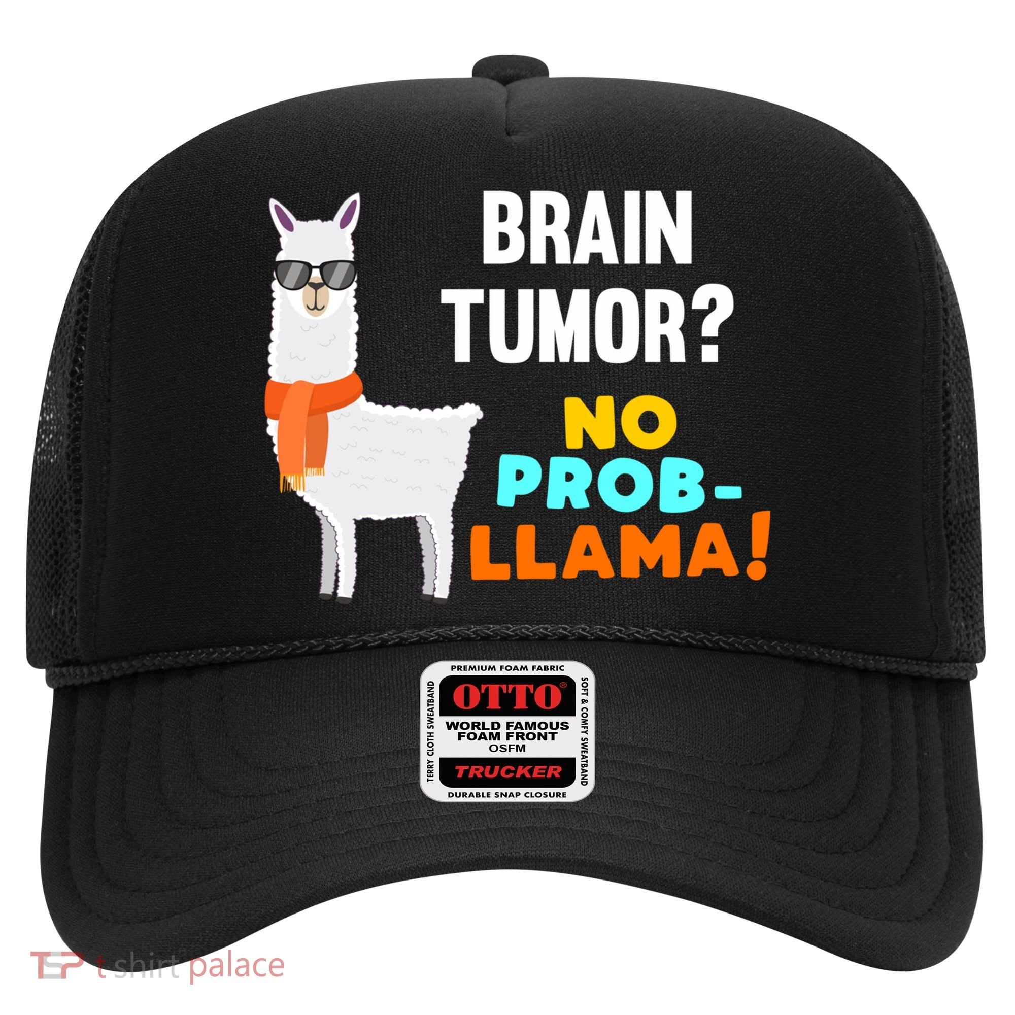 No Probgiftllama Brain Tumor Survivor Recovery Get Well Funny Gift Cool Gift Hat