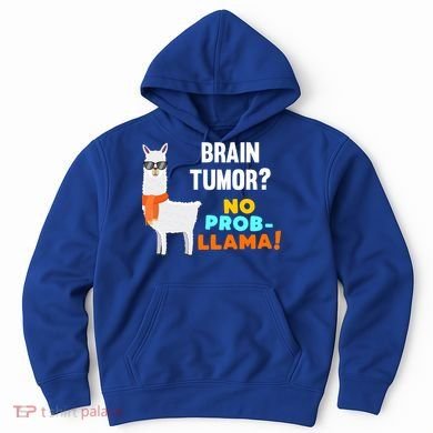 No Probgiftllama Brain Tumor Survivor Recovery Get Well Funny Gift Cool Gift Hoodie