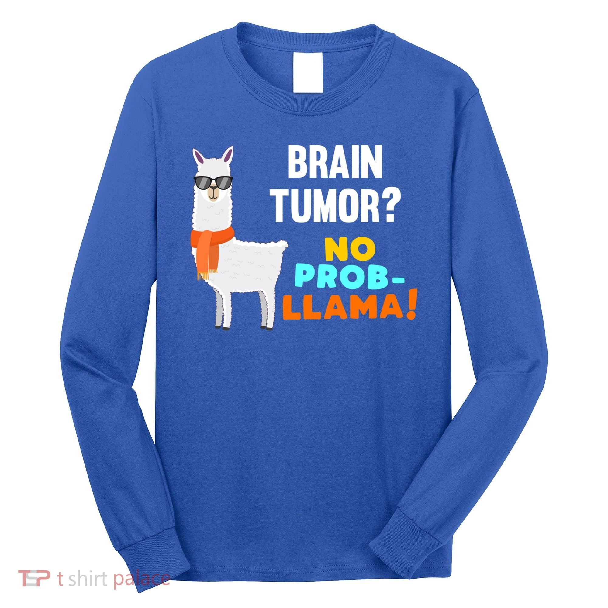 No Probgiftllama Brain Tumor Survivor Recovery Get Well Funny Gift Cool Gift Long Sleeve Shirt