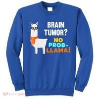 No Probgiftllama Brain Tumor Survivor Recovery Get Well Funny Gift Cool Gift Sweatshirt thumb 0