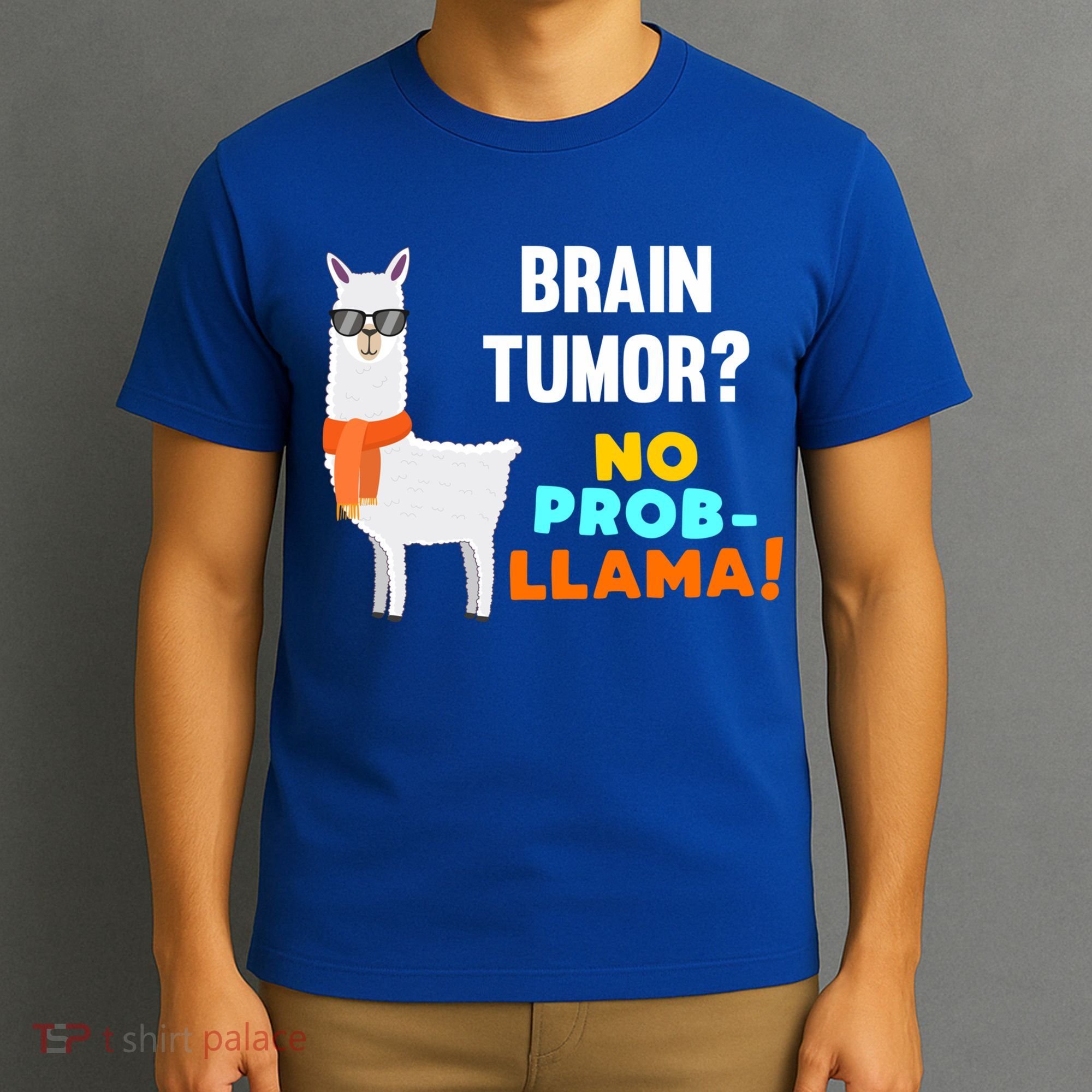 No Probgiftllama Brain Tumor Survivor Recovery Get Well Funny Gift Cool Gift T-Shirt