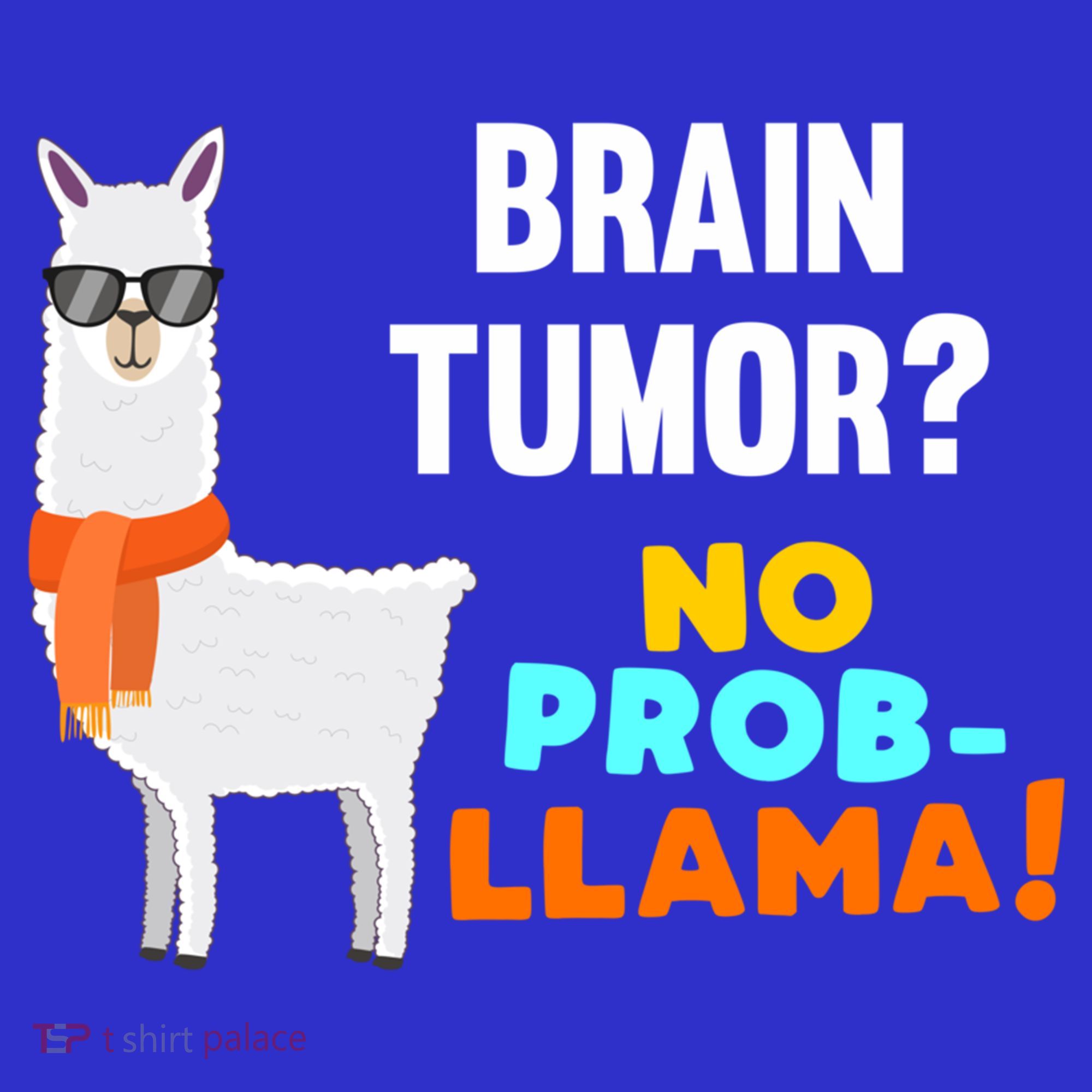No Probgiftllama Brain Tumor Survivor Recovery Get Well Funny Gift Cool Gift Coaster