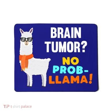 No Probgiftllama Brain Tumor Survivor Recovery Get Well Funny Gift Cool Gift Mousepad