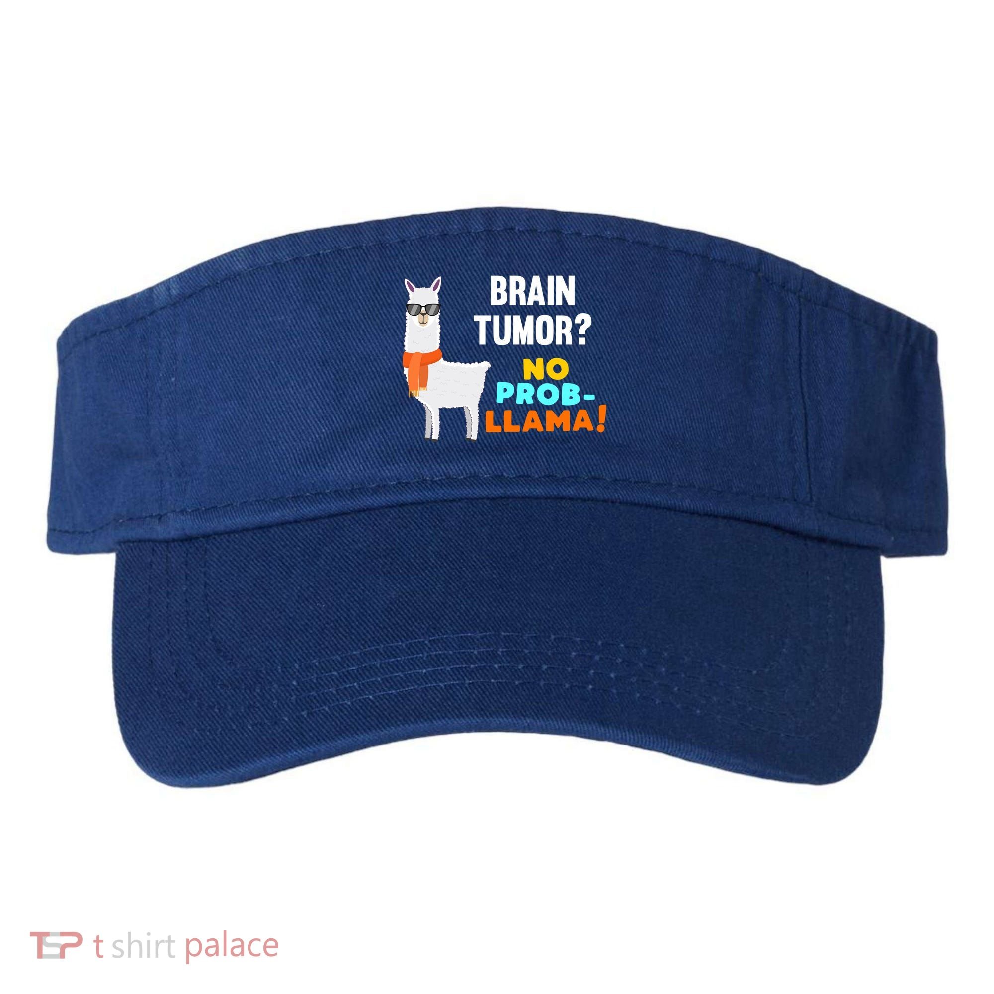No Probgiftllama Brain Tumor Survivor Recovery Get Well Funny Gift Cool Gift Visor