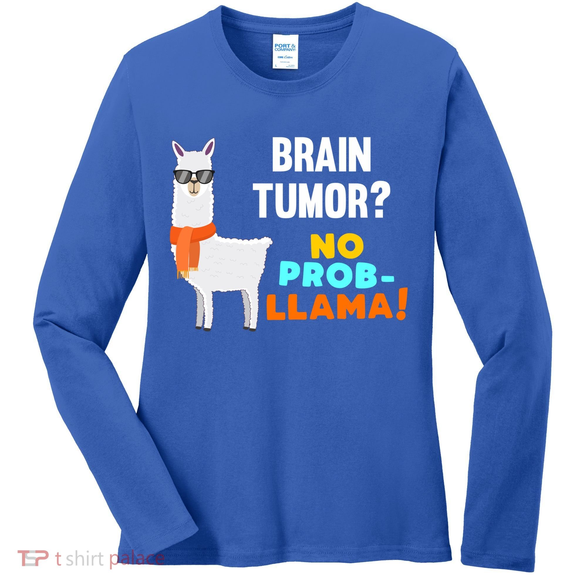 No Probgiftllama Brain Tumor Survivor Recovery Get Well Funny Gift Cool Gift Women's Long Sleeve Shirt
