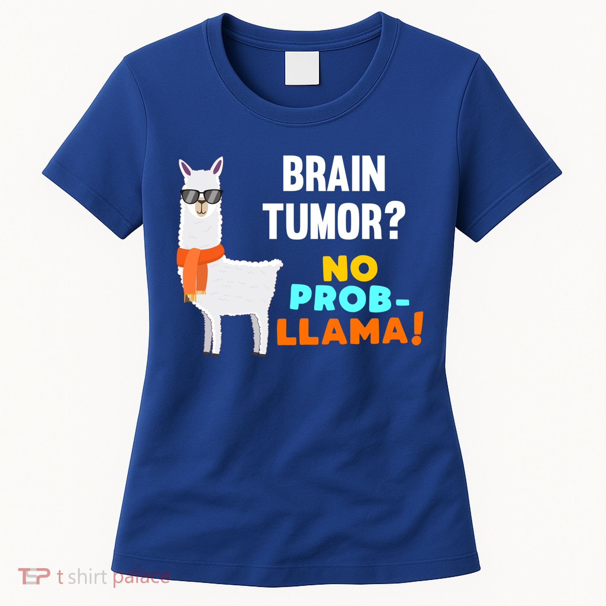 No Probgiftllama Brain Tumor Survivor Recovery Get Well Funny Gift Cool Gift Women's T-Shirt