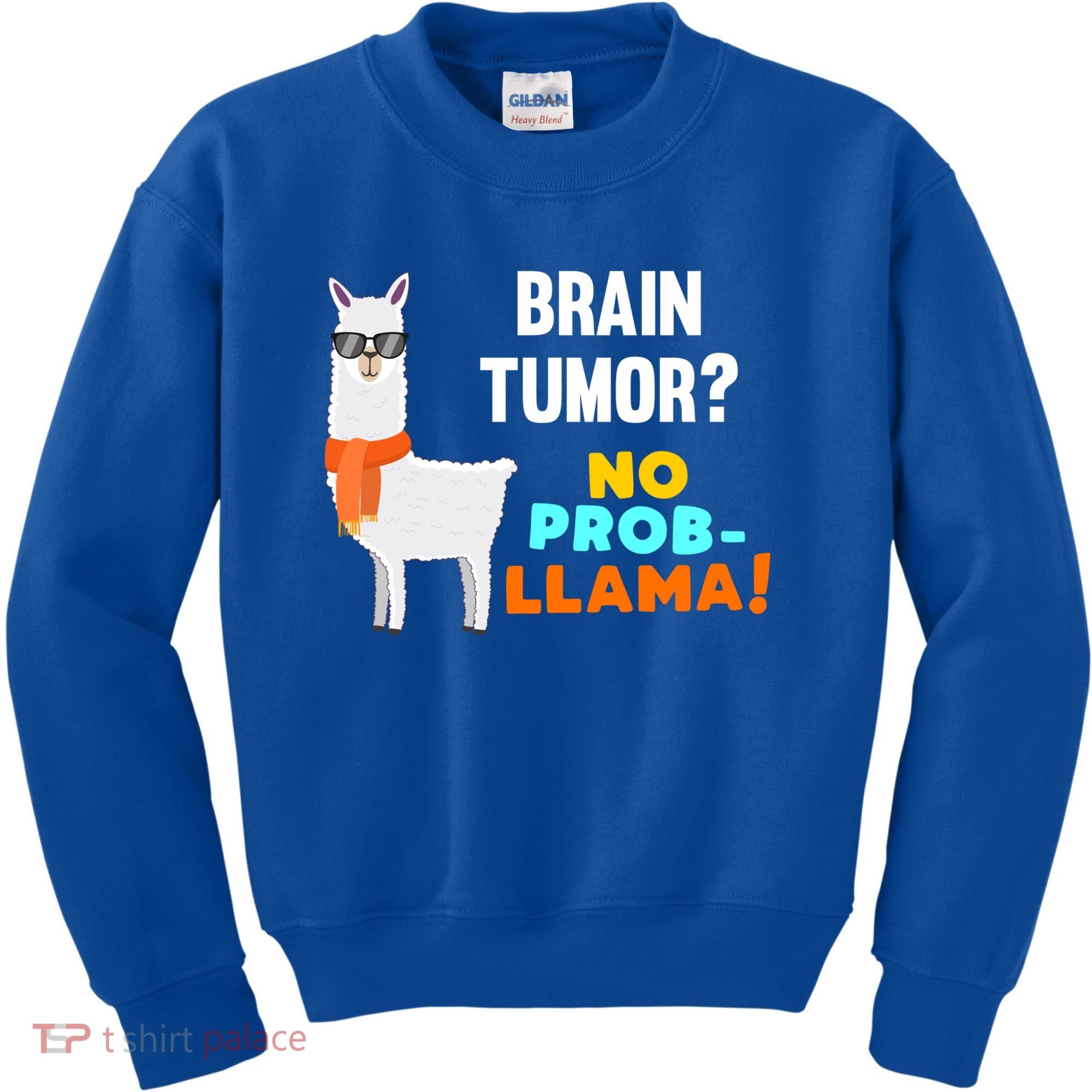 No Probgiftllama Brain Tumor Survivor Recovery Get Well Funny Gift Cool Gift Kids Sweatshirt