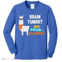 No Probgiftllama Brain Tumor Survivor Recovery Get Well Funny Gift Cool Gift Kids Long Sleeve Shirt thumb 0
