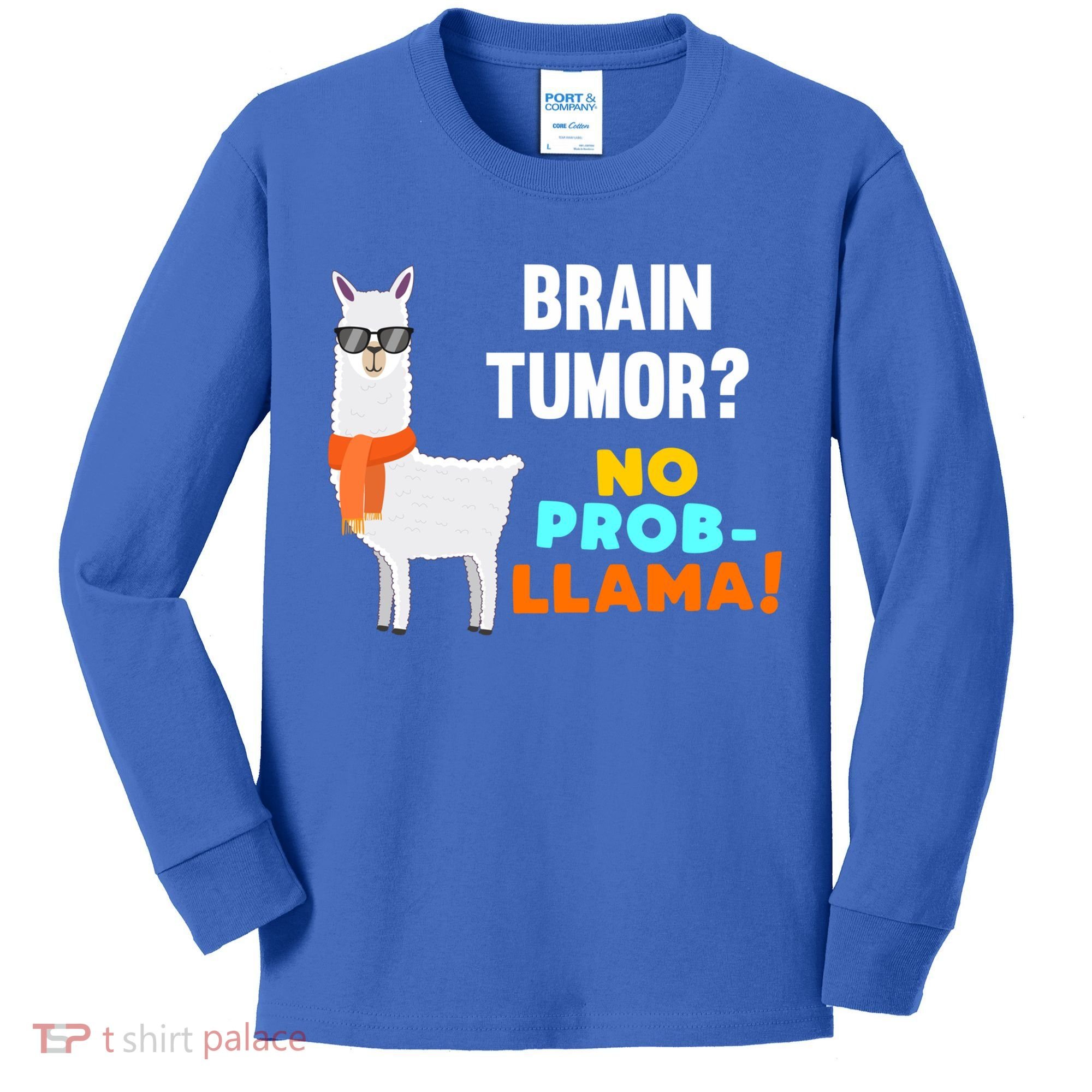 No Probgiftllama Brain Tumor Survivor Recovery Get Well Funny Gift Cool Gift Kids Long Sleeve Shirt