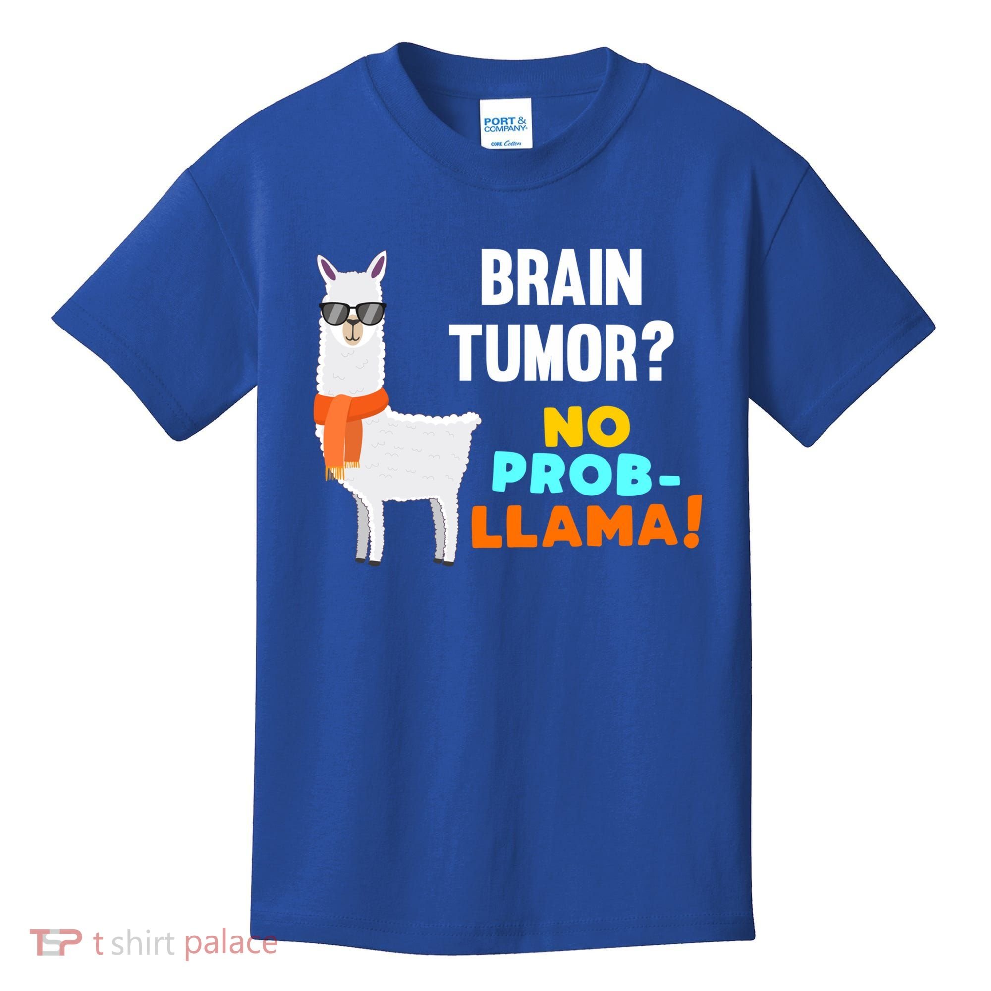 No Probgiftllama Brain Tumor Survivor Recovery Get Well Funny Gift Cool Gift Kids T-Shirt